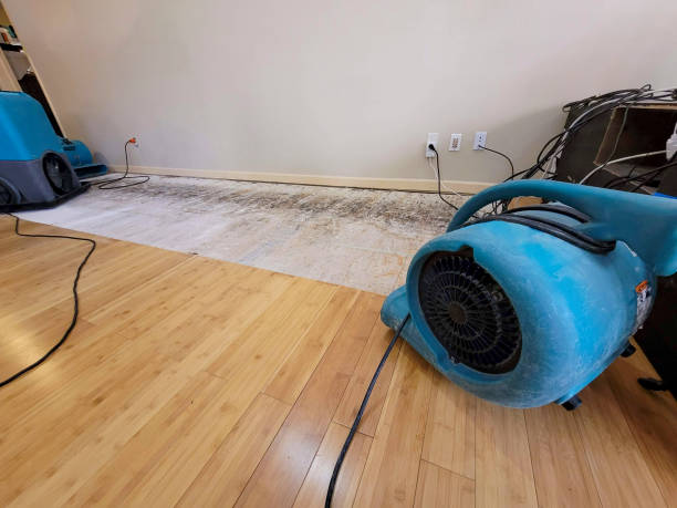 Professional Water Removal technician working in Neffs, OH
